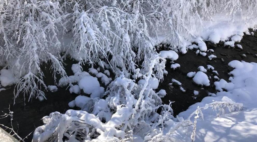 Haus Sahin Lägenhet Vandans Exteriör bild